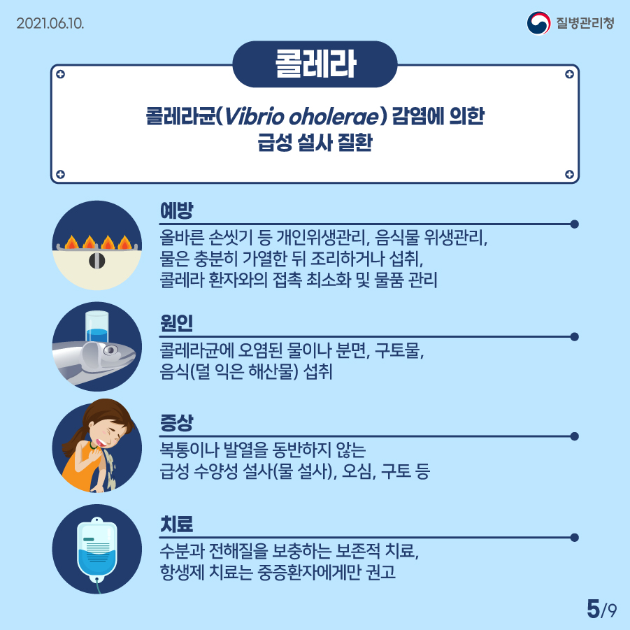 2021년 6월 10일 질병관리청 콜레라균(Vibrio oholerae) 감염에 의한 급성 설사 질환. 예방? 올바른 손씻기 등 개인위생관리, 음식물 위생관리, 물은 충분히 가열한 뒤 조리하거나 섭취, 콜레라 환자와의 접촉 최소화 및 물품 관리. 원인? 콜레라균에 오염된 물이나 분변, 구토물, 음식(덜 익은 해산물) 섭취. 증상? 복통이나 발열을 동반하지 않는 급성 수양성 설사(물, 설사), 오시미, 구토 등. 치료? 수분과 전해질을 보충하는 보존적 치료, 항생제 치료는 중증환자에게만 권고. 9페이지 중 5페이지